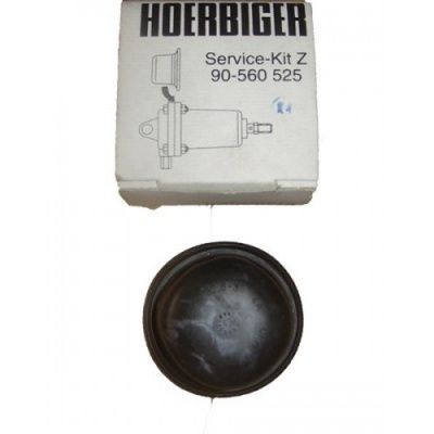 Ремонтный комплект для клапана HDK85 HOERBIGER 90560525 Ремонтный комплект для клапана HDK85 HOERBIGER 90560525 фото